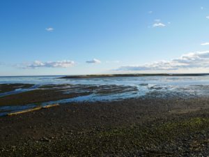 Baie des chaleurs – New Richmond (2)