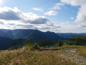 Parc de la Gaspésie (1)