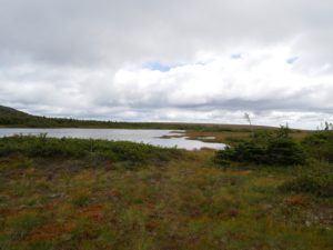 Parc de la Gaspésie (5)