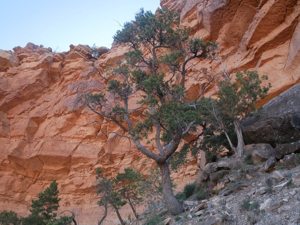 South Kaibab trail à Grand Canyon