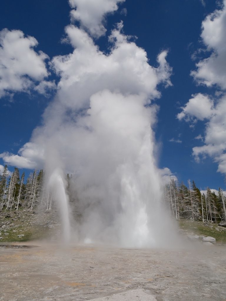 Upper geyser basin Old Faithful à Yellowstone