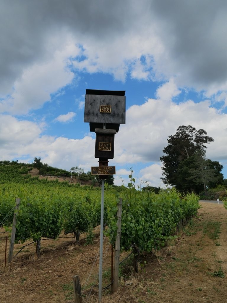Zinberg Winery