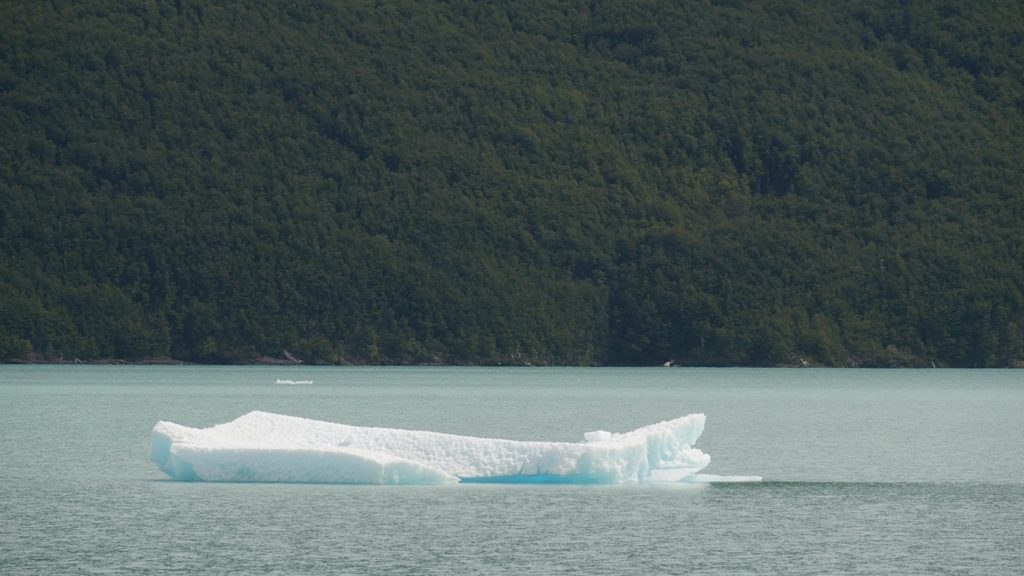 Icebergs Perito Moreno