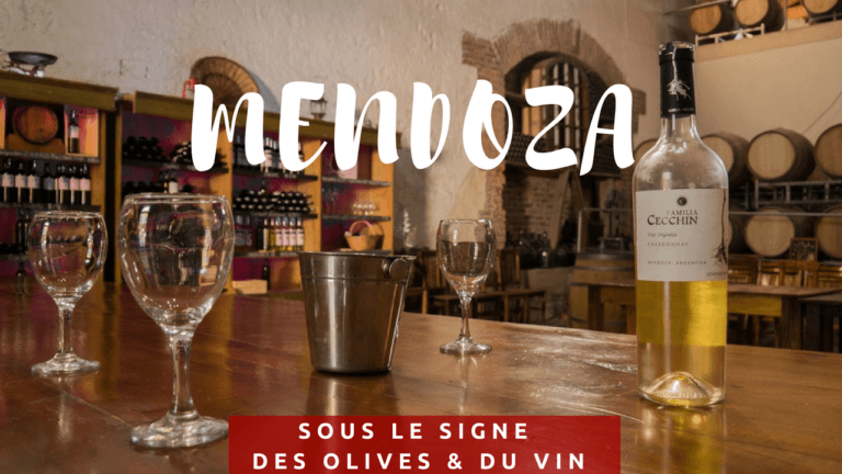 Lire la suite à propos de l’article Mendoza, sous le signe du vin en biodynamie et des olives !