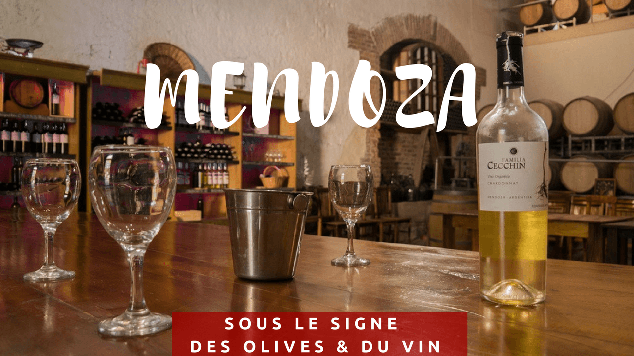 Mendoza sous le signe olivier vin
