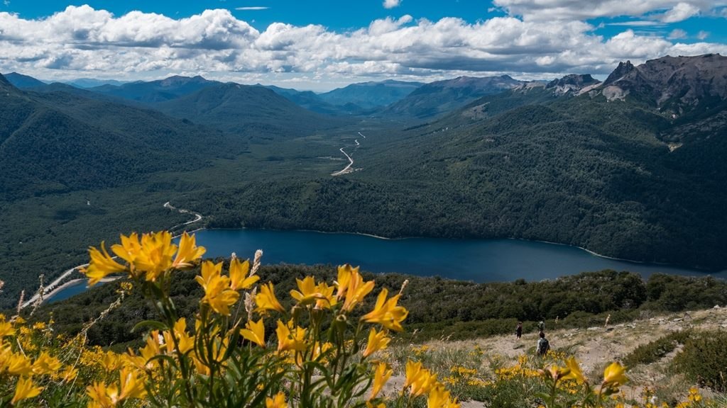 Vue du Cerro Falkner ruta siete lagos