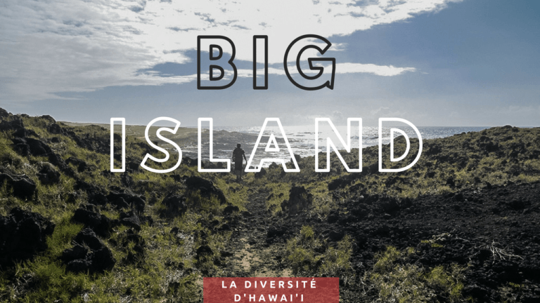 Lire la suite à propos de l’article Big Island, la diversité d’Hawai’i