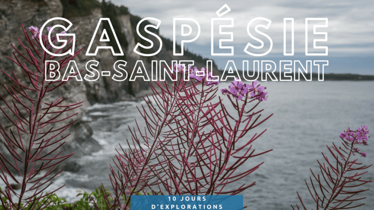 Lire la suite à propos de l’article 10 jours de découvertes en Gaspésie et Bas Saint-Laurent